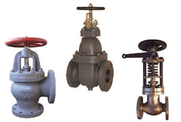 Valve & Pipe Fitting